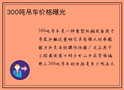 300吨吊车价格曝光