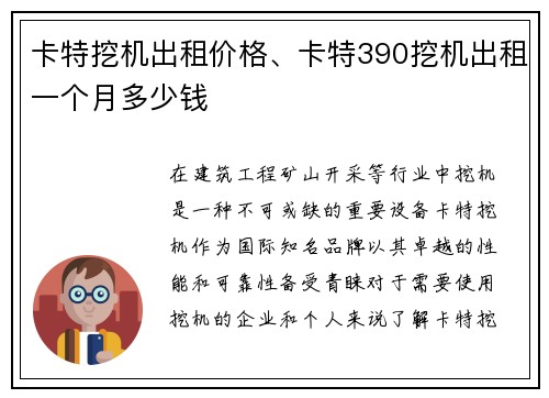 卡特挖机出租价格、卡特390挖机出租一个月多少钱